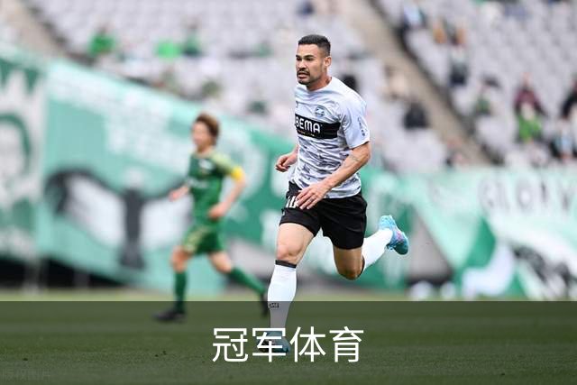 冠军(CHAMPION)官方网站 - 行业领先的体育数据平
